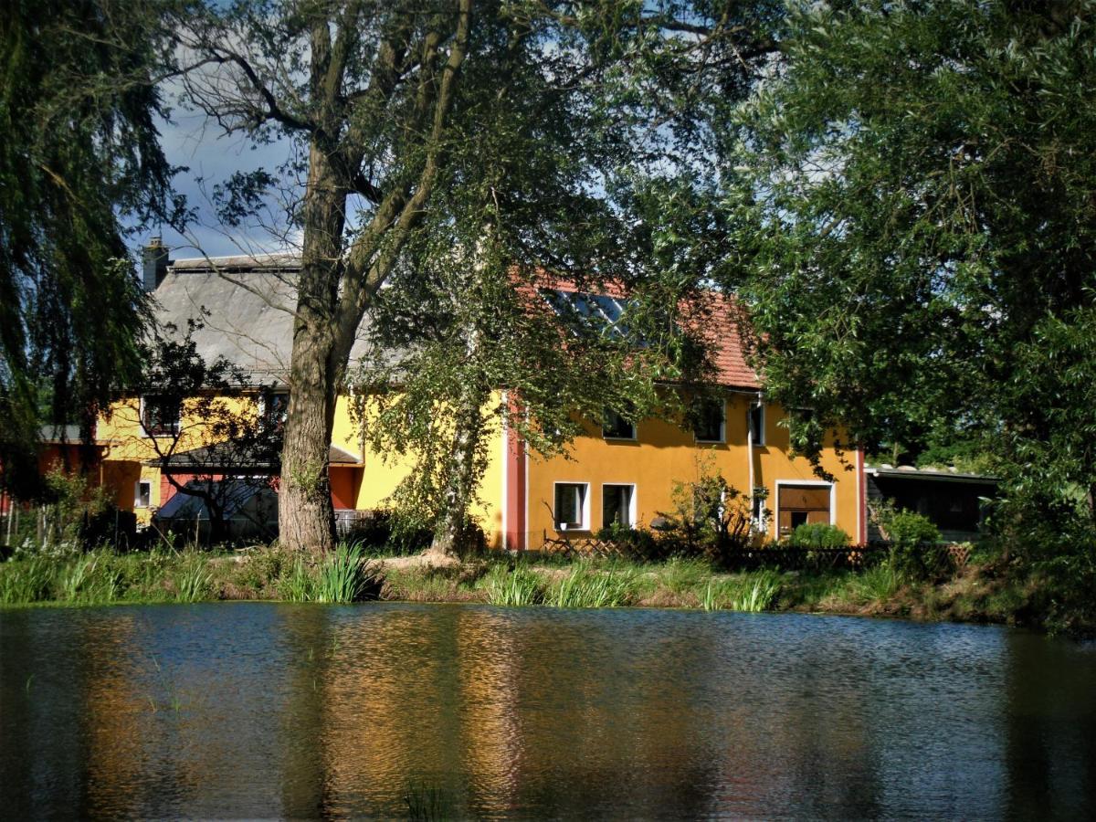 Ferienhof Im Gruenen Herzen Dittersdorf Exterior foto